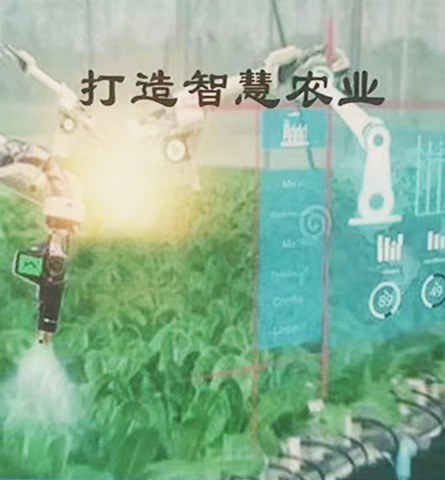 打造智慧农业